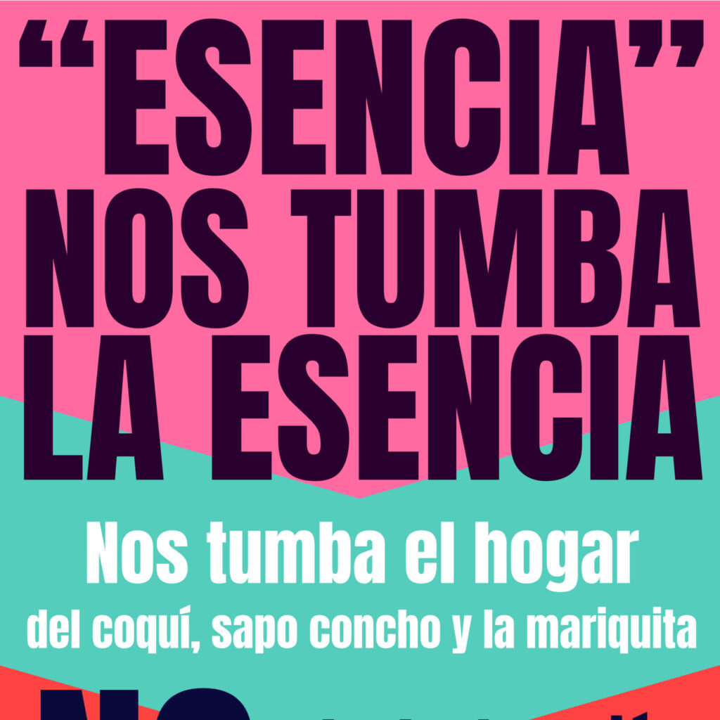 “Esencia” nos tumba la esencia